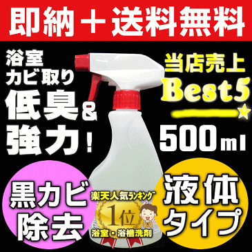 【大掃除準備クーポン＠お掃除KIS】送料無料 業務用カビ取り剤 大掃除 カビ取りスプレー 浴室 風呂 壁紙 壁クロス カビ取り 強力 ぬめりとり バス カビキラー カビハイターより低臭で安全 カビ取り一発 かびとりいっぱつ 【プロ用液体カビ取り泡スプレー500ml】