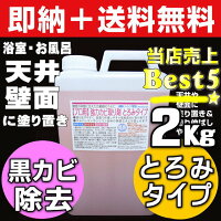 業者おすすめ,カビ取り洗剤,業務用かび取りジェル,カビ取りスプレー,ハイターで落ちない,かびとりいっぱつ,壁,畳,洗濯機,浴室,布,フローリング,マットカーテン,布団のカビ落とし,カビとり剤ランキング