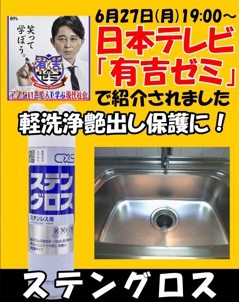 送料無料 翌日配送 有吉ゼミで紹介! シンク 水垢予防 撥水コーティング 洗剤 レンジフード コーティング剤 ステンレス 拭きムラ改善 水アカ予防 ツヤ出し保護 安全 水垢防止 お風呂 サッシ 金属 蛇口 汚れ防止 艶出し 掃除 防錆スプレー つや出しクリーナー ステングロス