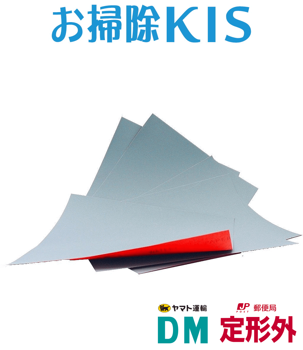 定形外/メール便 送料無料 業務用 