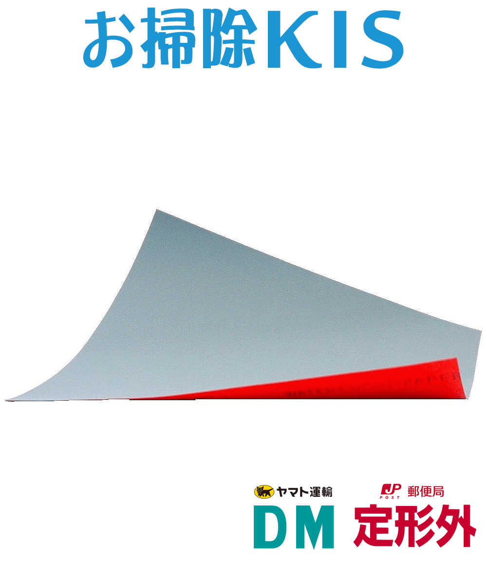 定形外/メール便 送料無料 業務用 お掃除 耐水ペーパー 水垢ペーパー 水をつけてこするだけ 耐水サ ...