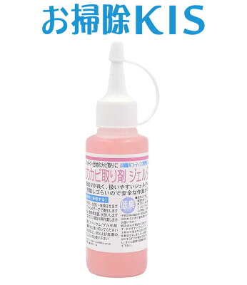 定形外 メール便送料無料 業務用カビ取り剤 カビ取り一発 高濃度 浴室 お風呂のカビ取り ゴムパッキン 目地 壁 壁紙 カビ取り剤 かび取り バス お風呂用洗剤 浴槽洗剤 お風呂掃除 カビ防止機能付 カビとりジェル100g 浴室 カビ防止 に学ぶプロジェクトマネジメント