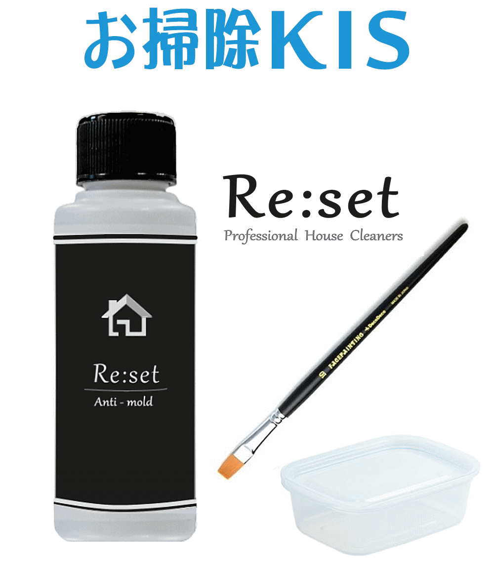 Re Set 業務用 強力 防カビ剤 水回り コーティング お風呂 ゴムパッキン 目地 浴室 防カビスプレーの2倍高濃度で長期間防カビ 塗るだけ簡単 カビ予防 防かび カビ防止 風呂の蓋 ヌメリ予防 エアコン 窓 プロ仕様 100ml リセット 特典付き お掃除プロ愛用 オリジナルの