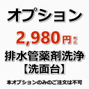 業務用洗浄剤をキッチンシンク内や浴室排水口内に投入して、嫌な臭いを素早く解消！汚れや毛髪などを徹底分解洗浄します（洗浄可能箇所：キッチン・浴室・洗面所・洗濯パン） 作業内容 洗面台の排水管薬剤洗浄（1箇所） ※洗面台の排水管内部の臭いや詰まりを解消します。 備考 休日や汚れ具合で料金が変動することはありませんのでご安心ください。 【オプション】のみのご予約は承っておりません。他のハウスクリーニングとあわせてご購入下さい。 ★その他のハウスクリーニングメニューは【こちら】★オプションメニュー★