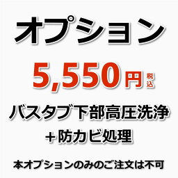 【オプション(浴室クリーニング必須)】浴槽(バスタブ)下部高圧洗浄（エプロン内部高圧洗浄）＆防カビ処理（防カビ処理付きでカビの発生や嫌な臭いを抑えます！）（出張施工）