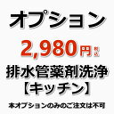 楽天お掃除専門店KIS　楽天市場支店【オプション】排水管薬剤洗浄（キッチン：1箇所）（出張施工）