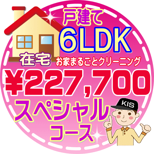 【お掃除Kis】【大阪・兵庫・京都にお住まいの方必見！】6LDK～7DKの「在宅」♪戸建て／スペシャルコース（出張施工）【延べ床面積：約130平米～】