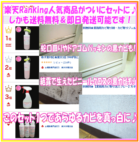 大掃除応援クーポン お掃除kis 送料無料 浴室 お風呂 業務用 カビ 大掃除応援クーポン お掃除kis 送料無料 浴室 お風呂 業務用 カビ