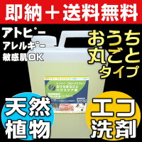 業務用洗剤 掃除用品 掃除用洗剤 クリーナー ハウスクリーニング ナノソイコロイド洗剤 エコ洗剤 無添加 環境洗剤 界面活性剤ゼロ