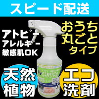 赤ちゃんアトピー洗剤おすすめ,エコ洗剤キッチンランキング,アトピー石鹸洗剤,アトピー洗濯洗剤,無添加洗剤,エコ洗剤ランキング,オーガニック洗剤,環境洗剤,自然洗剤,ナチュラル洗剤,環境や人にやさしい商品