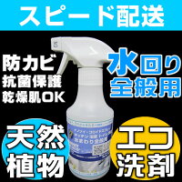 赤ちゃんアトピー洗剤おすすめ,エコ洗剤キッチンランキング,アトピー石鹸洗剤,アトピー洗濯洗剤,無添加洗剤,エコ洗剤ランキング,オーガニック洗剤,環境洗剤,自然洗剤,ナチュラル洗剤,環境や人にやさしい商品