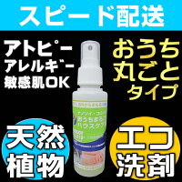 赤ちゃんアトピー洗剤おすすめ,エコ洗剤キッチンランキング,アトピー石鹸洗剤,アトピー洗濯洗剤,無添加洗剤,エコ洗剤ランキング,オーガニック洗剤,環境洗剤,自然洗剤,ナチュラル洗剤,環境や人にやさしい商品