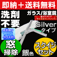 業務用洗剤 掃除用品 掃除用洗剤 クリーナー ハウスクリーニング 簡単おすすめガラス用スクイジー(窓拭き掃除)替えゴム販売使い方