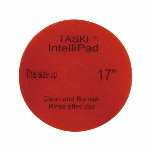 TASKI������ƥ�ѥå� 15����� ��2������