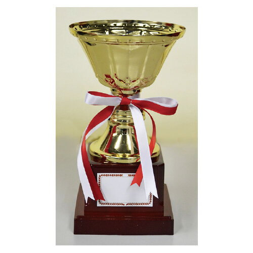 NEW�������ȥ꡼���å�