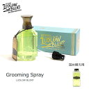 1/25(土) 在庫補充 / LUDLOW BLUNT (ルドローブラント) Grooming Spray グルーミングスプレー ベーススプレー 下地剤 スタイ...