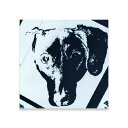MICHAEL LEONHART マイケル・レオンハート / DANIAL / ANGER (PICTURE SLEEVE) / Mighty Eye Reco...