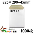 宅配袋 小 ラミ加工 両面テープ付 300枚入り 巾260×マチ80×高320+ベロ60mm【同梱不可】