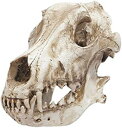 オオカミの頭蓋骨の彫刻の装飾人工死の骨格置物トカゲの場所のリビングルームのデスクトップ(3)