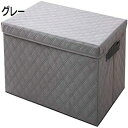 収納ボックス ふた付き 窓付き 布 前開き 折りたたみ おしゃれ 収納ケース 衣替え 積み重ね 衣類ケース 小物入れ 押し入れ 幅60 重ねて置ける 引っ越し コンパクト収納 丈夫 大容量 大掃除 新生活