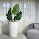 植木鉢 おしゃれ アイボリー 室内 屋外 プラスチック 39*70 軽い プランター 観葉植物 室内 屋外 インドア お洒落 多肉植物鉢 プラスチック 花鉢 軽...