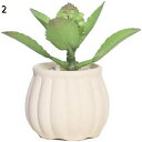 プランター 植木鉢 おしゃれ 鉢植え 花 栽培 プレゼント ギフト 母の日 通販 水やり 02 かわいい ガーデニング プランター 白 F オフィス インテリア...