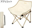アウトドアチェア 折りたたみ キャンプ椅子 ローチェア 耐荷重120kg コンパクト イス 超軽量 携帯便利 ハイキング お釣り 登山 バーベキュー 収納バッグ...