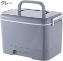 薬箱 ピルケース 引出し 2層 大容量 薬ボックス 取っ手付き ロック機能つき ピルボックス 取り外し可能 くすり入れ 収納ボックス 救急箱 応急ボックス 裁縫箱 工具箱 小物 便利 災害用 出張 常備薬 旅行 患者 家用 高齢者 オシャレ(4)