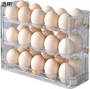 卵ケース 冷蔵庫収納 エッグホルダー 透明 卵入れ 自動スライド設計 キッチン収納 卵ボックス 卵収納 コンパクト収納 積み重ね可能 たまごケース 玉子収納