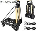 キャリーカート 台車 アウトドア 折り畳み式 カート キャリー 買い物カート 運ぶカート 運動会 ショッピング用 超コンパクト 防災用品 キャンプ用 旅行用品 頑丈 軽量 運搬 固定ロープ付き 静音 耐荷重60KG/250KG