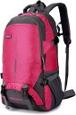 登山リュック 45L 登山バッグ 大容量 バックパック 撥水・防汚 ザック リュックサック 多機能 収納性 超軽量 通気性 男女兼用 ハイキング キャンプ 防災 旅行 遠足 アウトドア