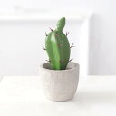 サボテン盆栽 造花 インテリア ミニ 鉢植え 卓上 北欧 フェイクグリーン 室内装飾 INS風 人工観葉植物 おしゃれ テーブル 緑の植物装飾 置物 新築祝い ...