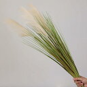しっぽの草 造花 フェイクグリーン ナチュラル 枯れない花 世話不要 綺麗 大きい アートフラワー インテリア ベランダ 玄関 装飾 飾り アレンジ 撮影道具 ...