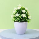 フェイクグリーン 人工観葉植物 卓上 プラスチック製 鉢植え 室内 盆栽 インテリア オフィス 店舗 装飾 置物 枯れない 人工樹木 開店祝い 新築祝い ホワイ...