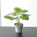 フェイクグリーン 卓上 鉢植え スイカの葉セット 人工観葉植物 本物そっくり 高さ約33cm 盆栽 北欧風 インテリア 室内 店舗 装飾 置物 枯れない 世話い...