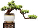 人工観葉植物 白いセラミックの植木鉢と木製のベースの屋内人工植物の偽の木の鉢植えの完璧なホームデスクトップの装飾ギフトと人工盆栽の木 人工盆栽