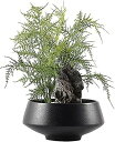 フェイクプラント/フェイクプラント 人工観葉植物 盆栽シミュレーション 細かい葉 緑の植物 鉢植えの植物の装飾 ポーチ リビングルーム オフィス ティーハウス 盆栽 ソフト装飾 装飾 人工観葉植物