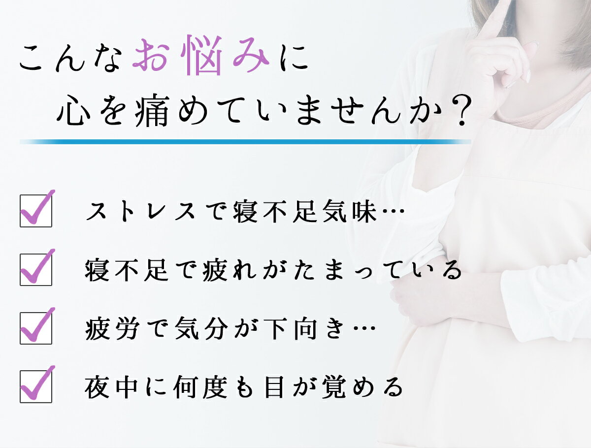 【公式】王様の抱き枕クール ジュニア（専用カバー付）送料無料！王様シリーズで一番小さめの抱き枕！だきまくら いびき 抱き枕 妊婦 マタニティ 可愛い ビーズ 認知症 横向き 腰痛 ヘルニア 日本製 純正 安心 プレゼント ギフト