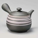 常滑焼 急須 竹春 窯変袋大紫らせん急須 640cc /常滑焼 日本製 帯網急須 大容量 たっぷりサイズ