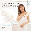 【ラッピング・送料無料】上州絹屋 純国産シルク100% セリシンアカスリ 生成色 日本製 絹 あかすり 羽二重 ぐんま200 ぐんまちゃん 美容 敏感肌 保湿 ...