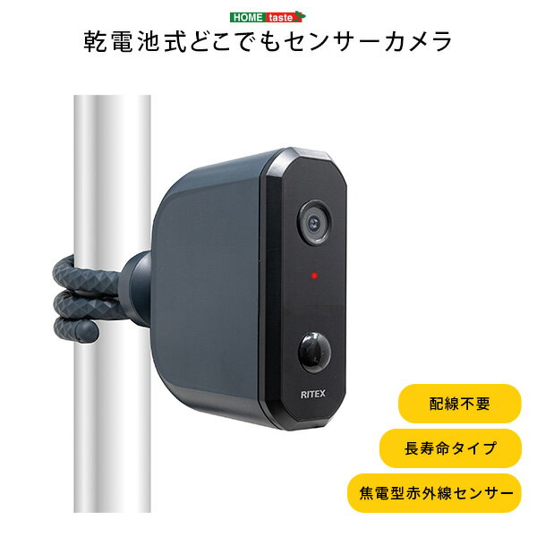 【ポイント20倍・送料無料】乾電池式どこでもセンサーカメラ +不織布マスク 5枚入 おすすめ 人気 おしゃれ 誕生日 プレゼント ギフト レビュー キャンペーン 家具 インテリア 雑貨 引越し 新生…