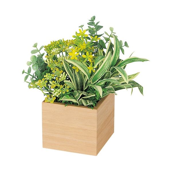 【おすすめ・人気】卓上ポット ミニ100角 GR4381ナチュラル|安い 激安 格安