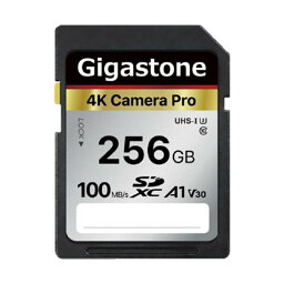 【送料無料】(まとめ) Gigastone SDXCカード 256GB V30 UHS-1 U3 A1 GJSX-256GV3A1 1枚[×3セット]　おすすめ 人気 安い 激安 格安 おしゃれ 誕生日 プレゼント ギフト 引越し 新生活 ホワイトデー