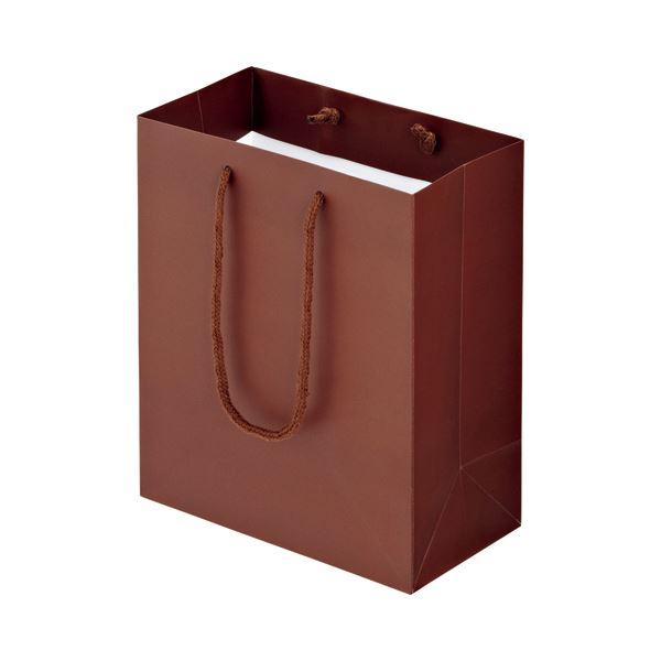 【おすすめ・人気】(まとめ) TANOSEE マットコート手提げ袋 S ヨコ220×タテ260×マチ幅120mm ブラウン 1パック(10枚) 【×4セット】|...