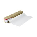 【送料無料】キヤノン バックライトフィルム HGLFM-BLH/17/164 17インチロール 432mm×30m 9125A008 1本 おすすめ 人気 安い...