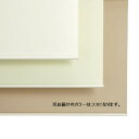 【送料無料】立川機工 防炎ロールスクリーンTR-3135 約W900×H1800mm ココ 組立品 おすすめ 人気 安い 激安 格安 おしゃれ 誕生日 プレゼン...