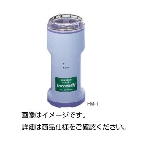 ̵(ޤȤ) եߥ FM-1[3å] ͵ ¤  ʰ   ץ쥼 ե ۤ  ۥ磻ȥ...