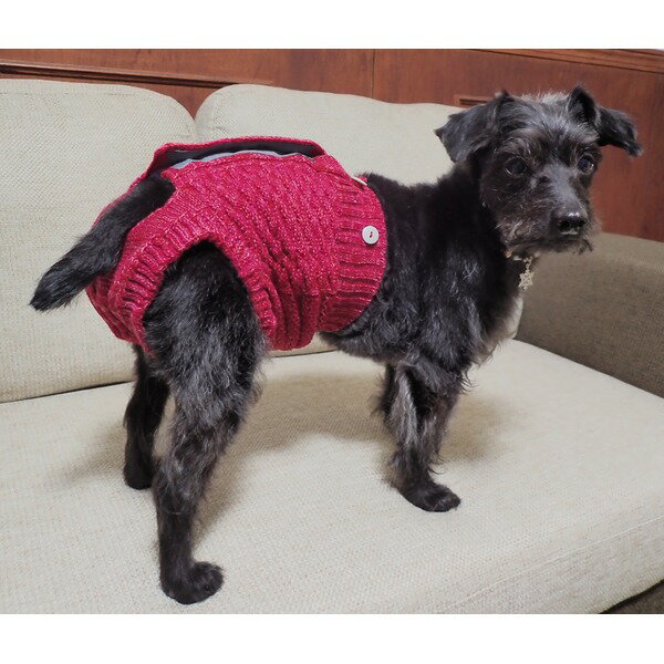 【おすすめ・人気】マナーおむつ用カバーパンツ SS ピンク|安い 激安 格安