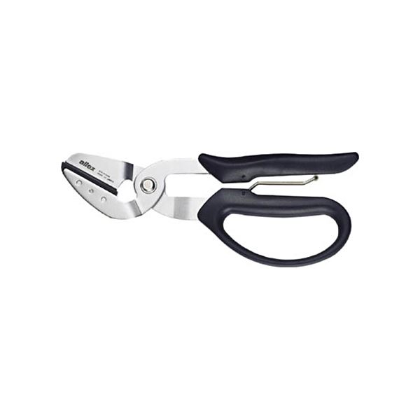 ̵(ޤȤ) ӿʪ ѡϡɤϤߥࡦۡ 17212 1[5å] ͵ ¤  ʰ   ץ쥼...