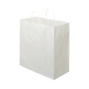 【送料無料】TANOSEE 紙手提袋 丸紐マチ広・特大 ヨコ430×タテ440×マチ幅210mm 白無地 1セット(300枚:50枚×6パック) おすすめ 人気...